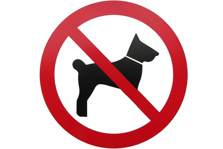С собаками запрещается