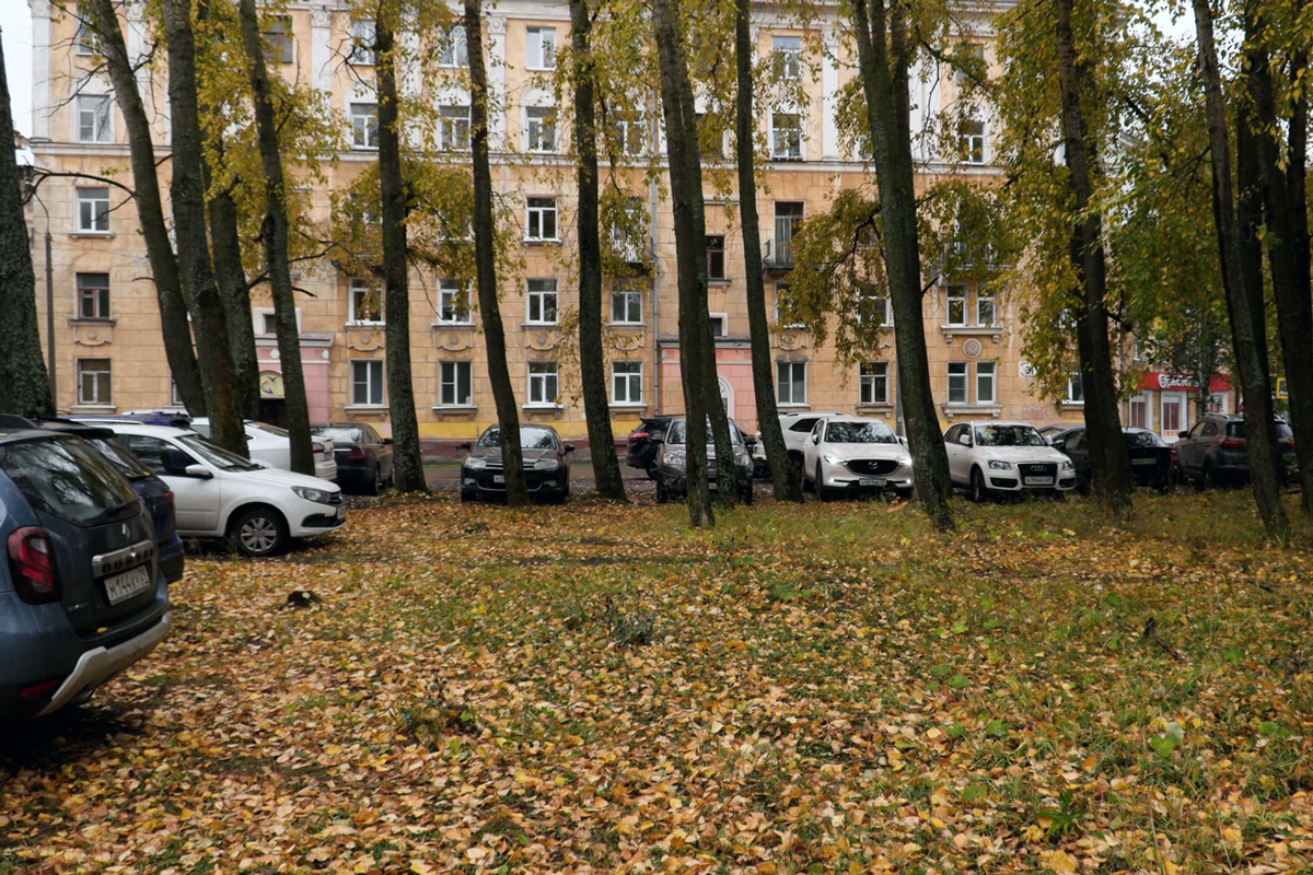 Сто тысяч рублей за парковку на газоне